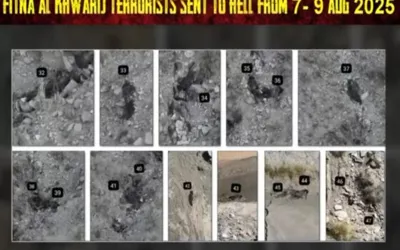 Security forces thwart cross-border infiltration in Balochistan; 47 terrorists killed