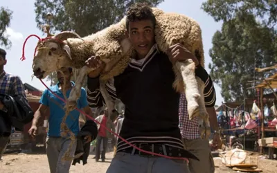 Moroccans to observe Eid-ul-Azha without animal sacrifice amid economic crisis