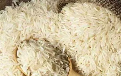 Pakistan's rice export overview for FY 2024-25