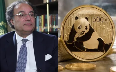 Pakistan’s Finance Ministry holds investor meetings in China for Panda Bond launch