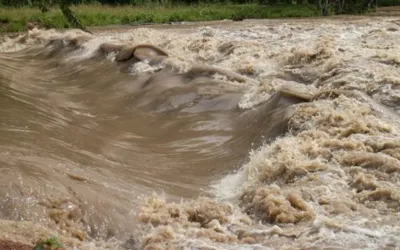 No Dams to save rain for future, Just promises: Pakistan loses rainwater once again