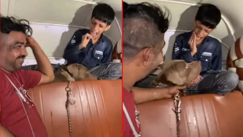 Man laughs as pit bull attacks 11-year-old in Mumbai
