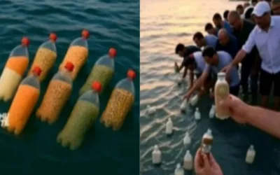Egyptian man throws food into Sea for Gaza, Sparking global emotion