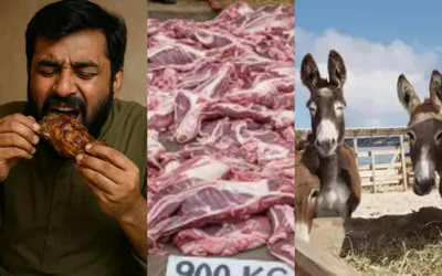 Donkey meat in the market again? People in Islamabad are consuming it in large amount!