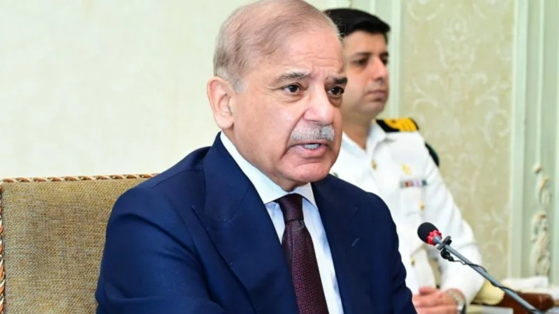 PM Shehbaz reconstitutes ECC again