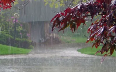 High Alert for Heavy Rain, Storms in Punjab during Eid