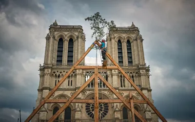 Notre-Dame cathedral edges closer to reopening five years after devastating fire