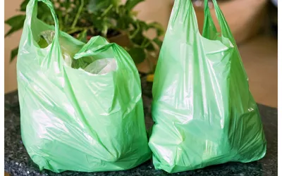 Punjab Sets Official Date for Plastic Bags Ban!