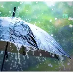 PDMA Predicts Widespread Rain in Punjab Starting April 23rd