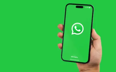 WhatsApp's new green features leave users dissatisfied