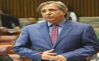 Pakistan not to surrender its water rights, says Azam Tarar