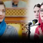 Bukhari highlights Maryam Nawaz's firm stance on governance