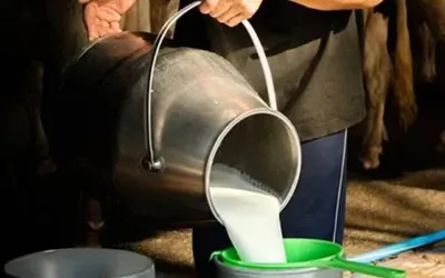 District Administration Announces Milk & Yogurt Prices in Pakistan 2024