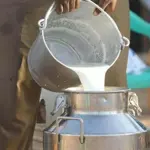 Milk, Yogurt Rates in Lahore for Ramadan 2024