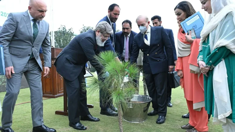 PM launches countrywide spring plantation drive