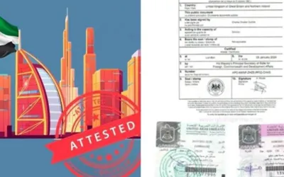Everything You Need to Know Document Attestation Process in UAE Online