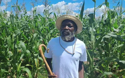 Legal Action against Zimbabwe sect leaders exploiting 251 children as cheap labor