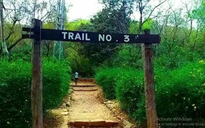 CDA closes all hiking trails due to Parade Day
