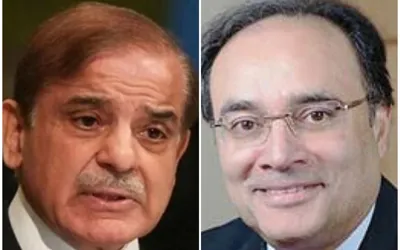 FM Aurangzeb will be new chairman of reshaped ECC