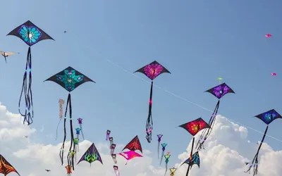 Kite ban violators to be punished strictly