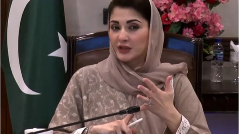 CM Punjab orders crackdown against chemical string sale