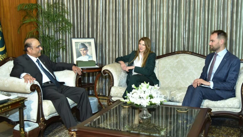 President calls for further boosting bilateral cooperation with UK