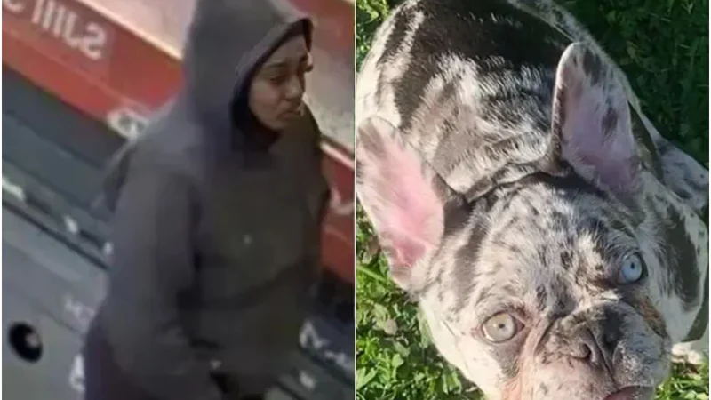 Dognapper Sadie Slater