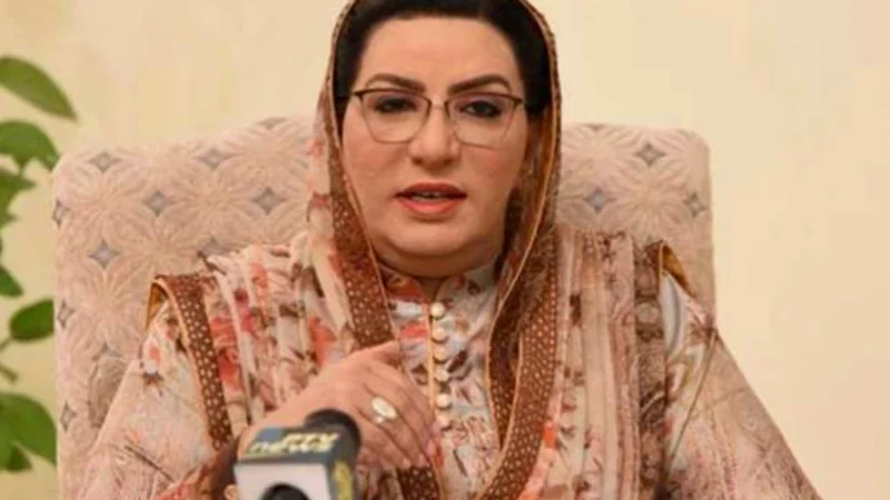 ECP summons Firdous Ashiq Awan over slapping policemen