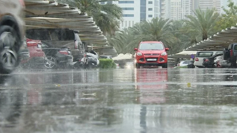 UAE Ministry urges remote work amid heavy rainfall