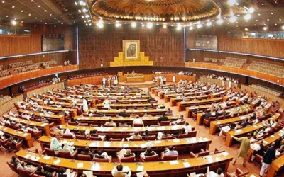 National Assembly passed resolution in solidarity with Palestine