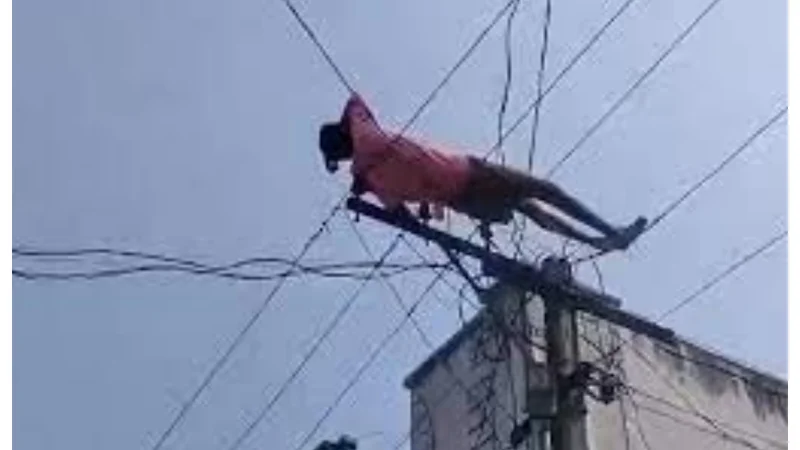Lahore: Mentally Challenged Man Causes Power Outage After Climbing Electric Pole