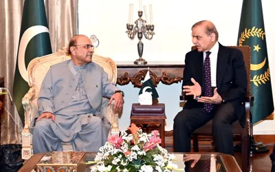 PM Shehbaz briefs President Zardari about Indian aggression