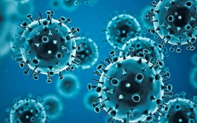 Clarification on 4 deaths due to Covid