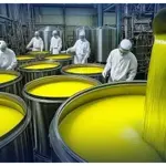 Balochistan Olive Oil wins global award in US competition