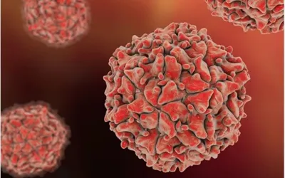 New WPV1 case reports in Pakistan