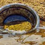 PHC imposes ban on use of mercury in gold mining