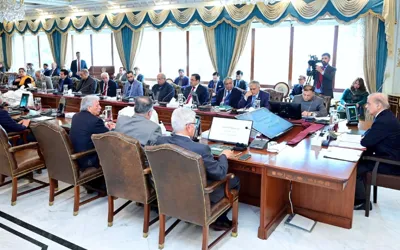 Gov’t approves revision of contracts with 14 IPPs to drop electricity cost