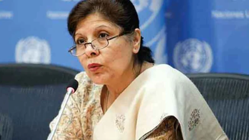 Pakistan needs $50b to tackle climate change: Dr Shamshad Akhtar