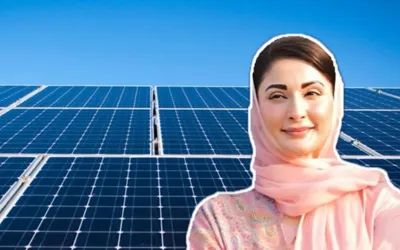 Free Solar Panel Scheme; Steps to check your application status