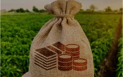 Sindh cabinet approves agricultural income tax bill 2025