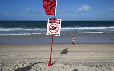 Teenage girl killed in shark attack off Australia's east coast