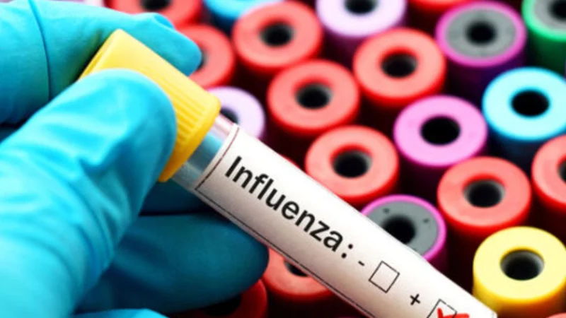 Flu rate in US hits highest level in over 15 years