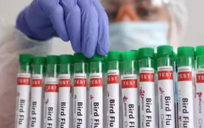 Zoetis’ bird flu vaccine gets conditional approval in US