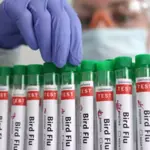 Zoetis’ bird flu vaccine gets conditional approval in US