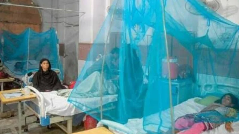 Malaria, Dengue cases increase across Sindh