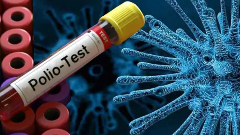 Poliovirus confirmed in environmental samples of 12 districts