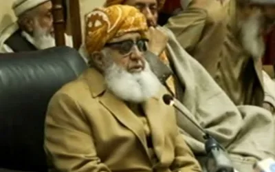 'Nawaz Sharif can play crucial role in country’s current political scenario,' Maulana Fazlur Rehman