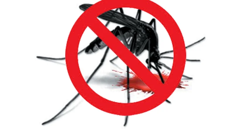 Islamabad gears up for anti-dengue fight before monsoon