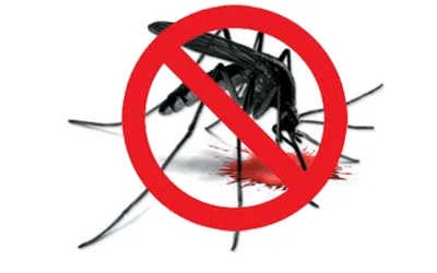 Islamabad gears up for anti-dengue fight before monsoon
