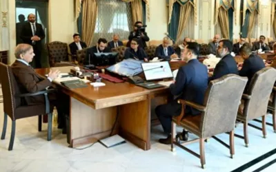 'Pakistan aims for long-term partnership with Huawei'